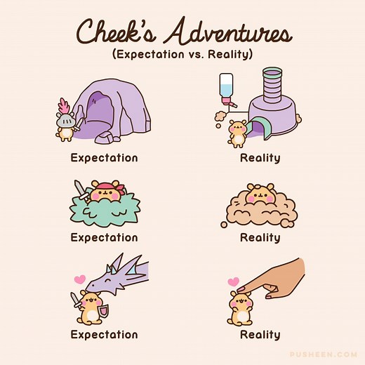 Happy Birthday, Cheek! 🎂 🐹 | Pusheen