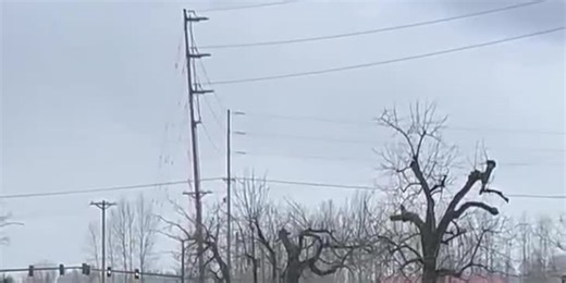 Rare wolverine sighting in Barlow