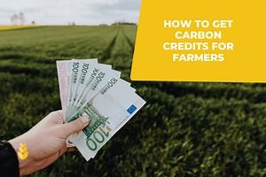 A 6-step guide for farmers to get carbon credits in agriculture