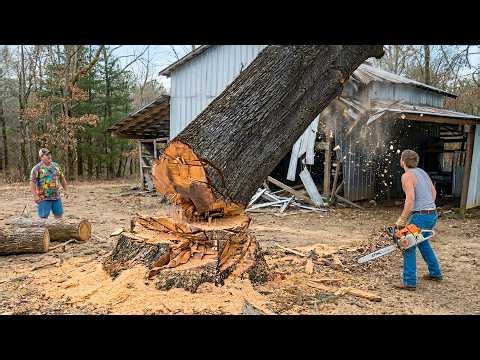 Idiots With Chainsaws: Tree Cutting Fails | Extreme Dangerous Logging Truck Fails #6