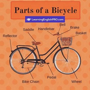 86K views · 278 shares | LearningEnglishPRO on Reels | Facebook