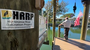 Restorative work taking place along the Homosassa River