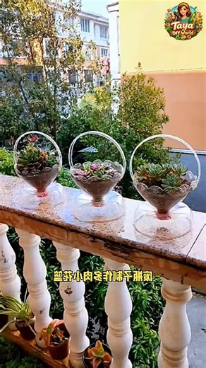 Waste to Wow! Plastic Bottle Mini Garden 🌿♻️ #shorts #diy #viral