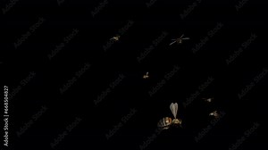 Honey Bee Swarm - Flying Around Screen - 3D Animation Loop - Realistic 3D animation isolated on transparent background with alpha channel