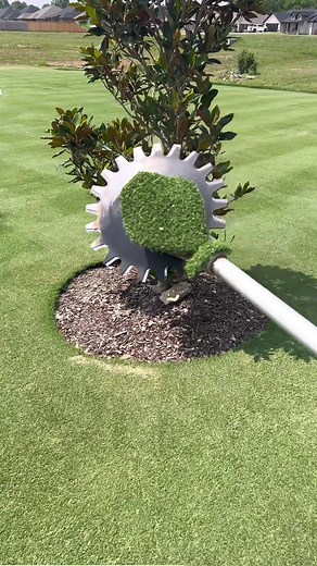 Creating Stunning Lawn Stripes with a Reel Mower