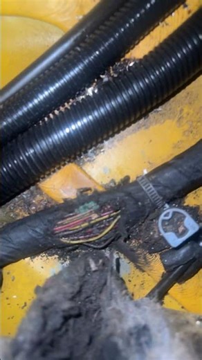 Chevy express cluster not working