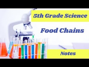 Food Chains and Webs // 5th grade science online lesson
