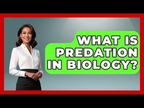 What Is Predation In Biology? - Biology For Everyone