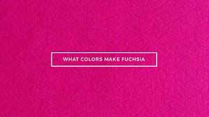 What Colors Make Fuchsia? What Two Colors Make Fuchsia