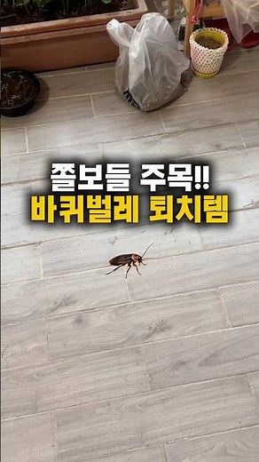 Cockroach extermination methods. This cockroach extermination item is the best!!
