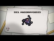 Mucormycosis
