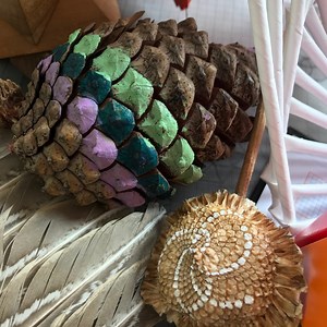 Spirals in Nature - The Smart Happy Project