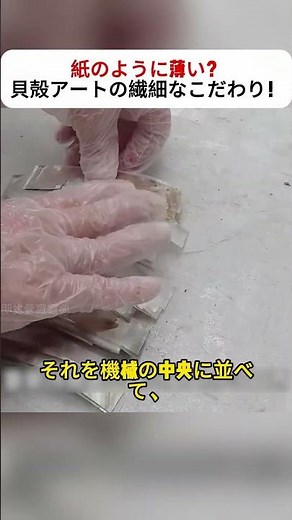 紙のように薄い？貝殻アートの繊細なこだわり！ #貝殻アート #アップサイクル #和風クラフト #職人技 #工芸品リメイク