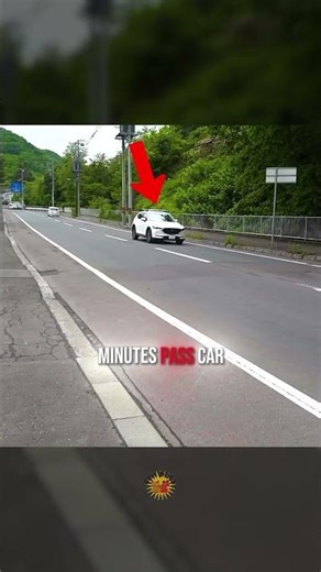 This is The Smartest Crow Ever!