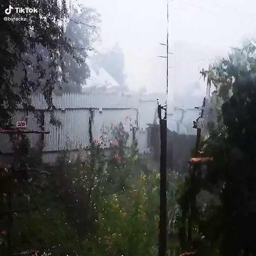 Creative Cycles: Nature Inspired After Effects Edits