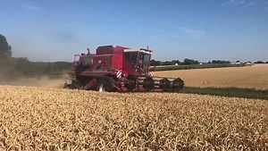 30K views · 283 reactions | Les Axial Flow made in USA  se font rares dans nos contrées, surtout dans un tel état! Voici une superbe 1480 bichonnée par ses propriétaires et croisée en compagnie d’une 2388 de dernière génération, elle-même équipée d’une prolongation de trémie américaine. Combines Harvesters Threshers Combine Harvester CASE IH | FARM Connexion | Facebook
