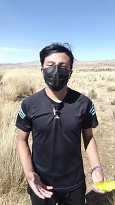 6.7K views · 115 reactions | TUTORIAL DE CÓMO COMER CACTUS ANCESTRALES  #videoviralシ #reelsfbシ #tutorial | Carlos Djc Litigio | Facebook