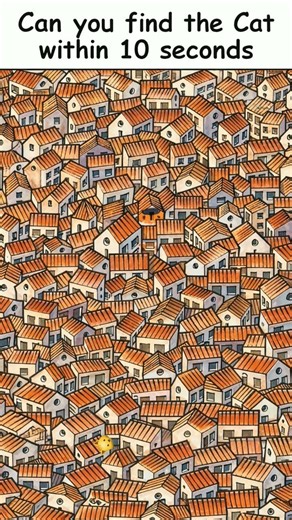 find cat within 10 seconds level easy #phonk #puzzle