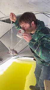 6K views · 39 reactions | Lake Winnebago taste test out of the Old Coot Coffee Mug by John Boyson冷⁉️ #funny #humor #water #nordiclegend #sturgeonspearing #lakewinnebago #hardwater #cootslures #safteyfirst #oshkosh #iceshelter #htenterprises #teamht #teamnordiclegend #coffeecup #lakewater #ew #tiktoklive | Coots Lures | Facebook