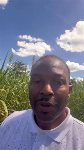 3.1K views · 30 reactions | Spring Hill Farm in Bainbridge has been owned by the Provence Family since 1981. Lentheus Chaney ABC27 is digging into how this historic land has turned into a seasonal hub full of Fall family fun. #wtxl #abc27 #Bainbridge #SpringHillFarm | WTXL Tallahassee | Facebook