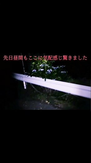 【幽霊動画】 #shorts 騙し無し茂みから現れた幽霊