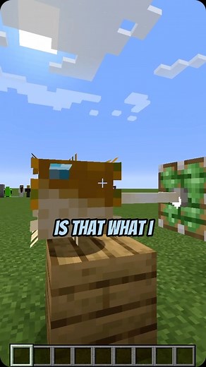 Squeegeeful on Instagram: "Minecraft Rhymes - Hypotenuse . . . #minecraft #minecraftmemes #minecraftmeme #minecraftbut #minecraftchallenge #minecraftfunny #minecrafter #memes #meme #funny #gaming #minecraftfacts #minecrafttips #minecrafttipsandtricks #mc #minecraftdaily"