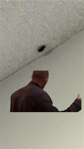 Nothing like waking up to one of these monster palmetto bugs 🤮 and it was on my 20ft ceiling🪦 #absolutelynot #jumpscare #nothanks #CapCut