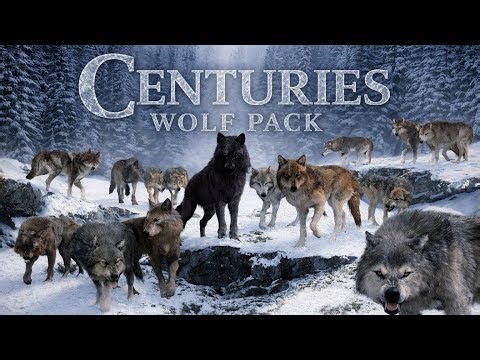 Twilight Wolves - Centuries
