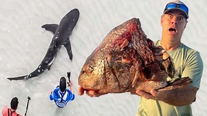 26 reactions · 4 comments | Salt Water Sportsman sent us on a 24 hour shark fishing expedition to tag and release some gigantic sharks to help NOAA with shark behavior research. Join us on this awesome adventure! #swsportsman #saltwaterexpedition | The Lawless Tide | Facebook