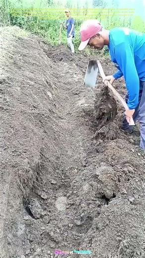 Le labour du sol : Comment le fer à bêche transforme la terre pour la culture