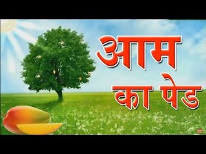 आम का पेड़ | Aam ka Ped | Animation Moral Stories