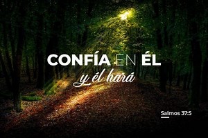 4 Salmos poderosos que le ayudan en todo momento. ▷➡️ Postposmo