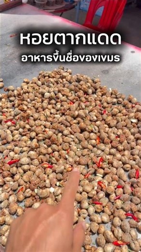 A famous Cambodian dish: sun-dried shellfish. #Cambodia