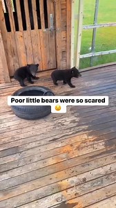 I love the end😁😁😁😁 | Precious Praiz