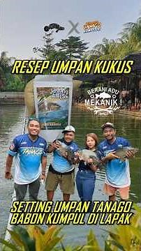 TANAGO STEAMED CORN BAIT RECIPE WITH DURIAN AND JACKFISH FISH - PARENT FISH FOR GROUP GROUP AT TH...