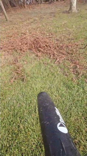 RedMax 9000 blowing pine needles and sticks!!! #blower #fall #lawncare #leafblowers #lawnmower