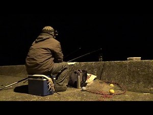 Night fishing at Port. Fishing in Japan