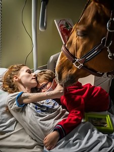 It Is Sent By God!🙏🏻🥹 Meet 'Doctor Peyo'💔🐴 — The Miracle Horse Bringing Comfort to Cancer Patients in Calais 😢❤️ After Checking The First Comment You Will Be Deeply Surprised⬇️⬇️⬇️ | Unique Stories