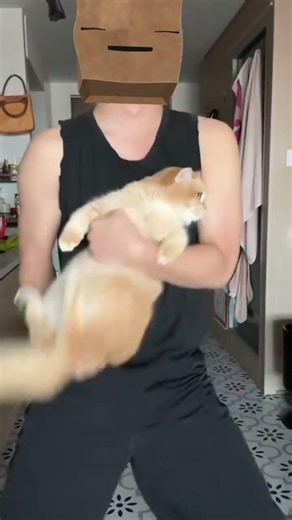 Cats & Dogs Owners Unleashed: The Ultimate Guide to Cat Care & Muscle Building