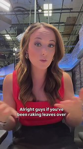 How to use fall leaves for compost!