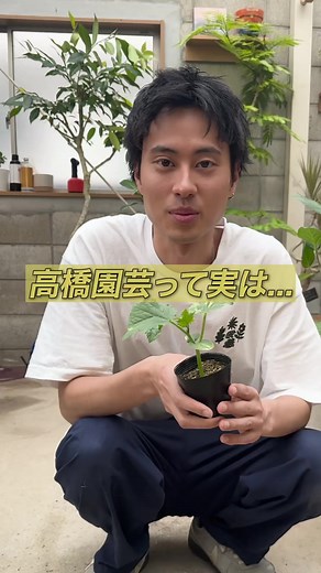高橋園芸：珍しい斑入りきゅうり紹介