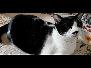 That's impossible! It was a miscalculation by a certain paper manufacturer! (See the summary)