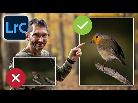 Comment retoucher une photo d'OISEAU 🐥 dans LIGHTROOM CLASSIC !