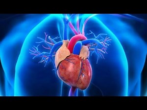 Osce - CVS (exam & findings)