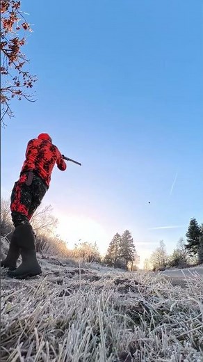 Sneppejagt - fællesjagt #skovsneppe #sneppe #jagt #hunting #shoting #hunt