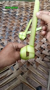 Tutorial tipat gatep. . #tutorial #ketupat #tipatgatep #tutorialketupat #buatketupat #kulitketupat #idekreatif #kerajinantangan #diy #coconutleafcraft #reels Dewa Ayu Triana Dewi | Dwija PanJavas