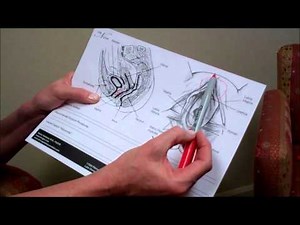 Everything you want to know about Laser Vaginal Rejuvenation