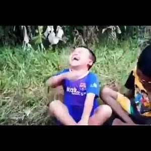 562K views · 221 reactions | MEMES on Reels | Facebook