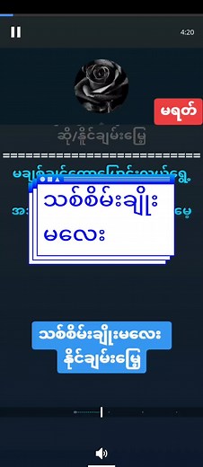 Discover the Symbolism of the Black Rose