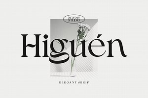 Higuen Elegant Serif, a Serif Font by ngene